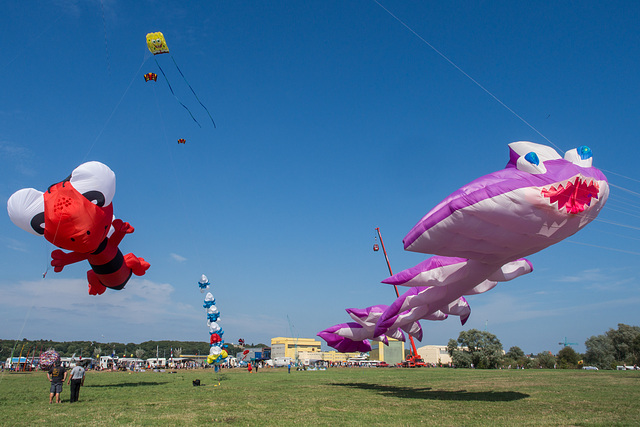 Drachenfest in Lemwerder