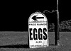 Free Range Eggs B&W
