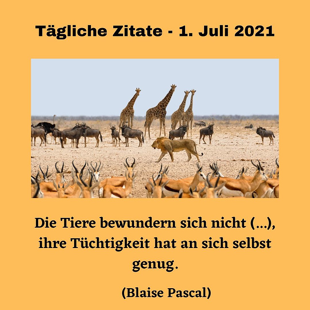 Tägliche Zitate - 1. Juli 2021