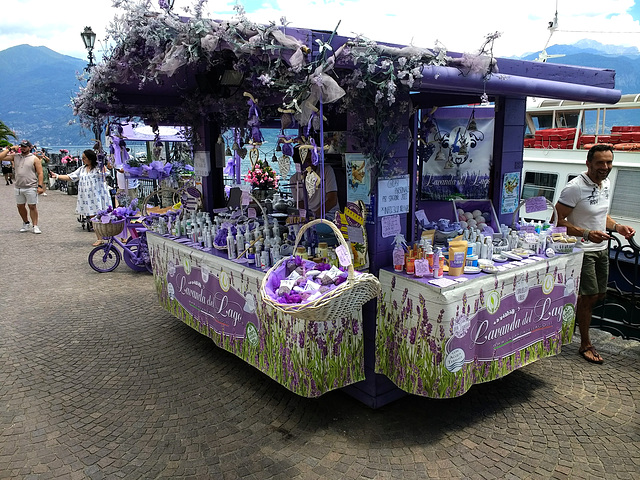 Menaggio- Lavender Stall