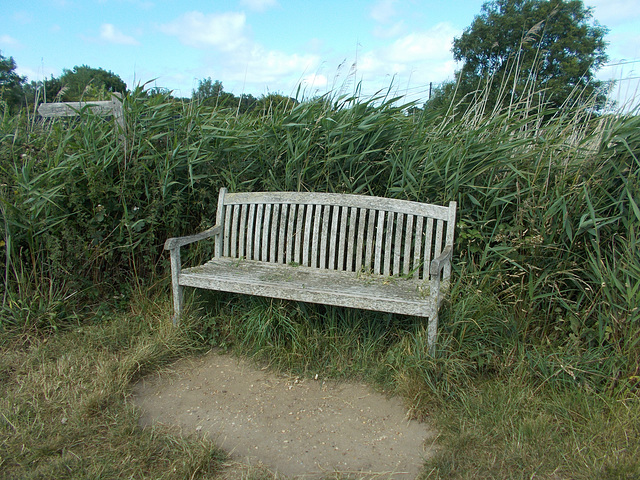 hin[22] - reed bench