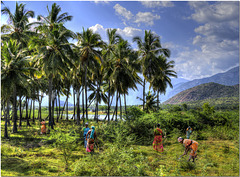 The Western Ghats, Kerala