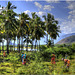 The Western Ghats, Kerala