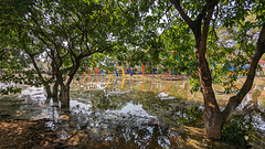 La belle nature au coeur du centre-ville / Downtown's nature at its best La belle nature au coeur du centre-ville / Downtown's nature at its best