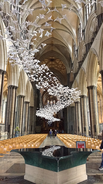 Salisbury cathedral doves