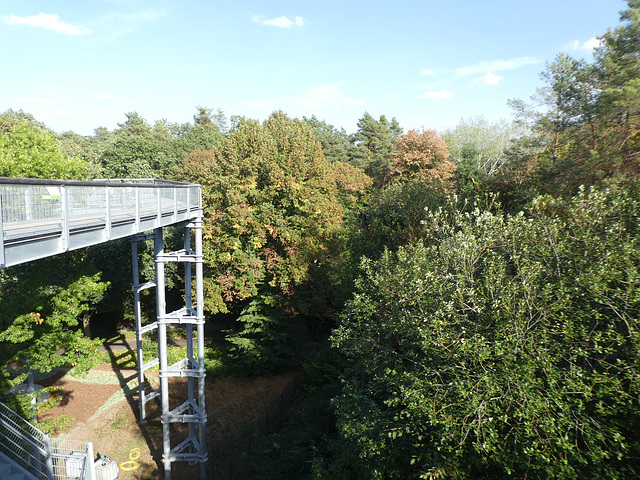 Baumwipfelpfad in Beelitz-Heilstätten