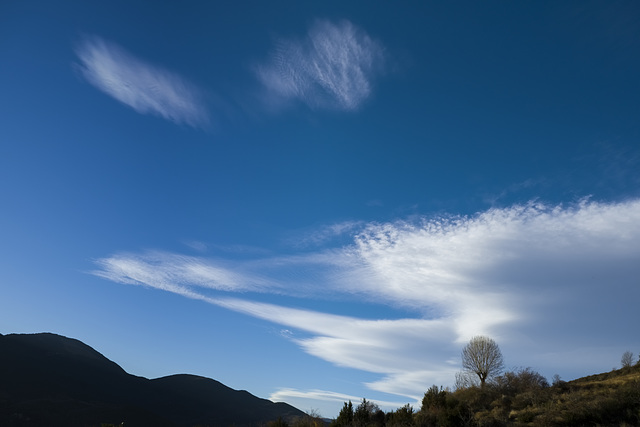 La pell del vent