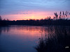 Etang de Sologne.
