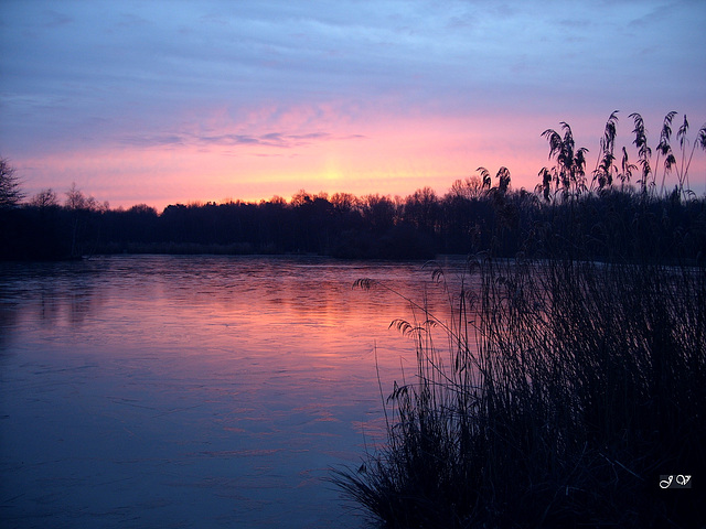 Etang de Sologne.