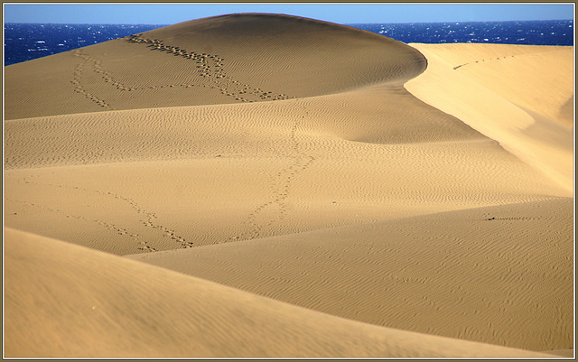 Dünen von Maspalomas