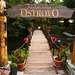 North Macedonia, The Bridge to the Restaurant Ostrovo in the Park of Black Drin