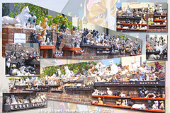 Cat collage Ship Street Newhaven 20 6 2024