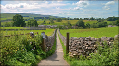 HWW............A Dales Lane