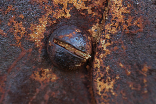 rust never sleeps