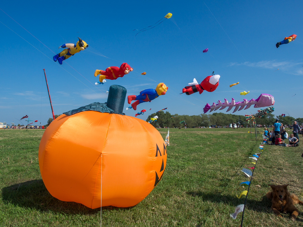 Drachenfest in Lemwerder