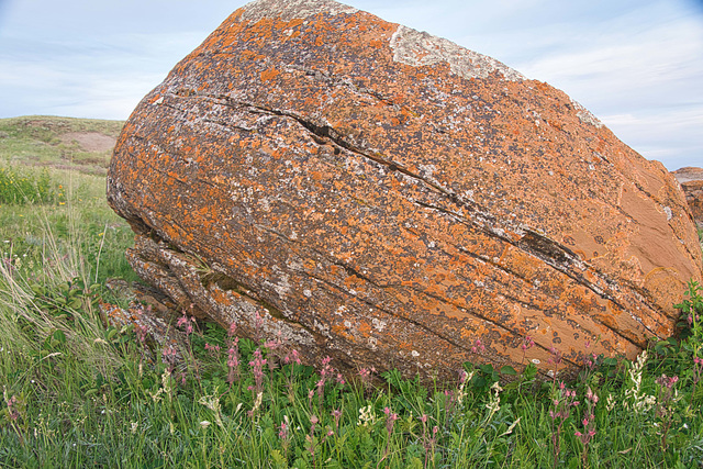 Red Rock close-up