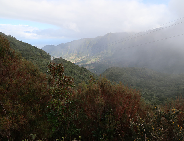 Mountain mist