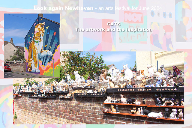 Look again - The Cat House artwork and inspiration - Newhaven 20 6 2024