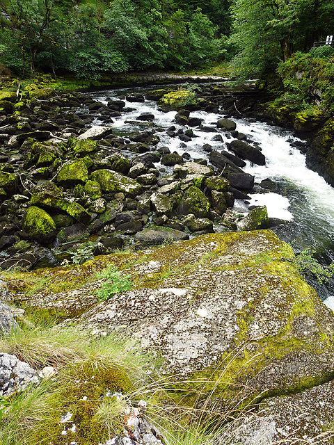 Vor dem Wasserfall am Doubs