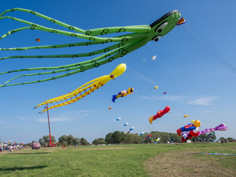 Drachenfest in Lemwerder