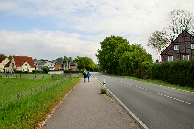 Buerer Straße (Marl-Polsum) / 5.05.2019