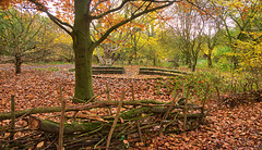 HFF.....................