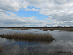 les marais