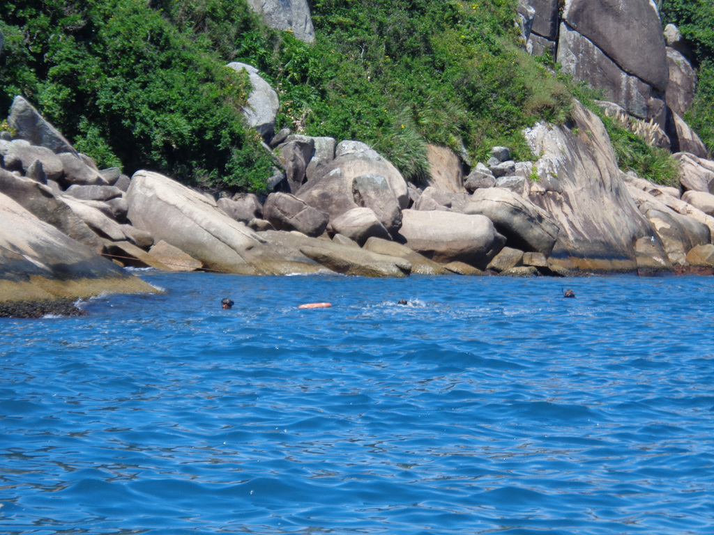 DSC06248 - barco Felipe Marques, caça sub