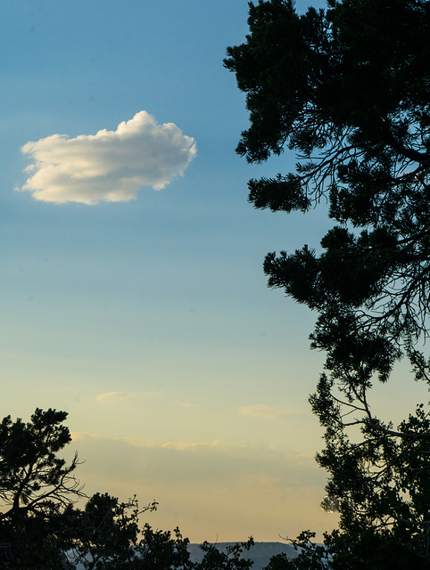 Canyon cloud