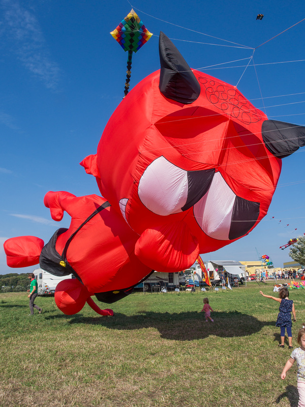 Drachenfest in Lemwerder