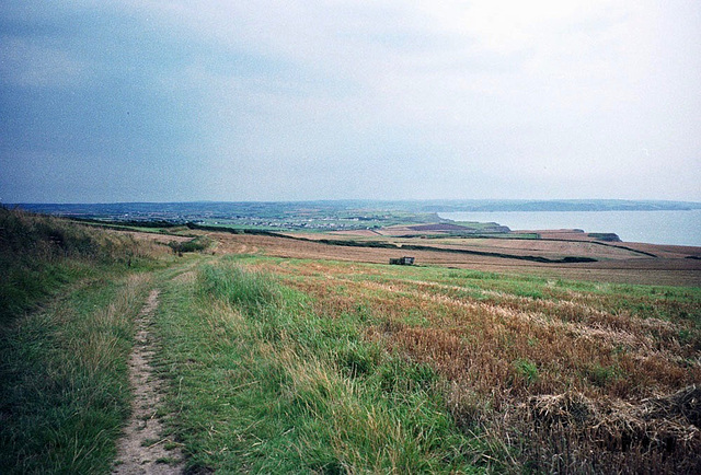looking South towards Bude from near Bethams (Scan from August 1992)