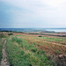 looking South towards Bude from near Bethams (Scan from August 1992)