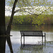 un banc pour les canards / a bench for the ducks