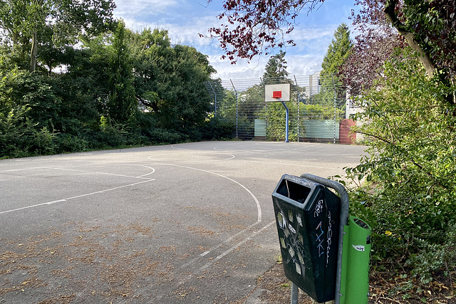 Basketball court