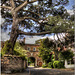 The Gatehouse, Richmond Palace