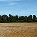 20250514_Blankenburg