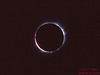 totale Sonnenfinsternis vom 31. Juli 1981 in Sibirien (© Buelipix)