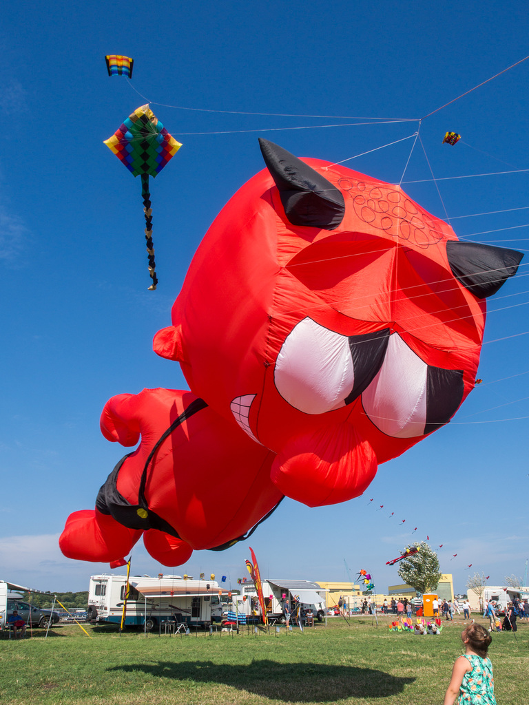 Drachenfest in Lemwerder