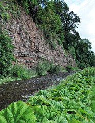 Scotland St. Cuthbert's Way (PiP) Jedburgh