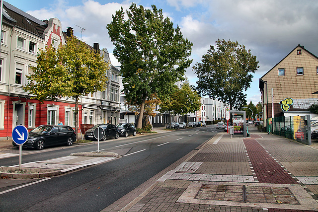 Hörder Phoenixseeallee (Dortmund-Hörde) / 21.10.2023