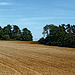 20250514_Blankenburg