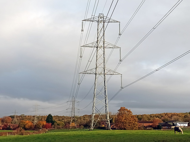 Autumn electricity