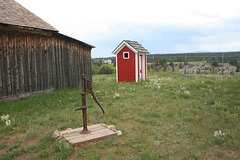 IMG 5089