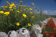 Landscape near Scicli