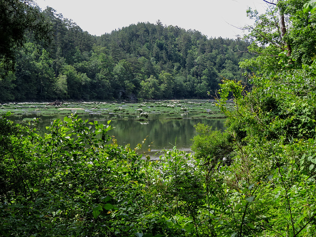 Cahaba River, Alabama