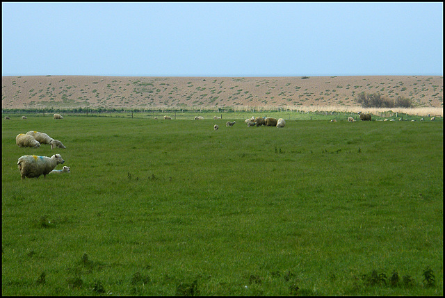 below the Chesil