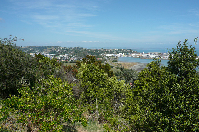 View Over Nelson