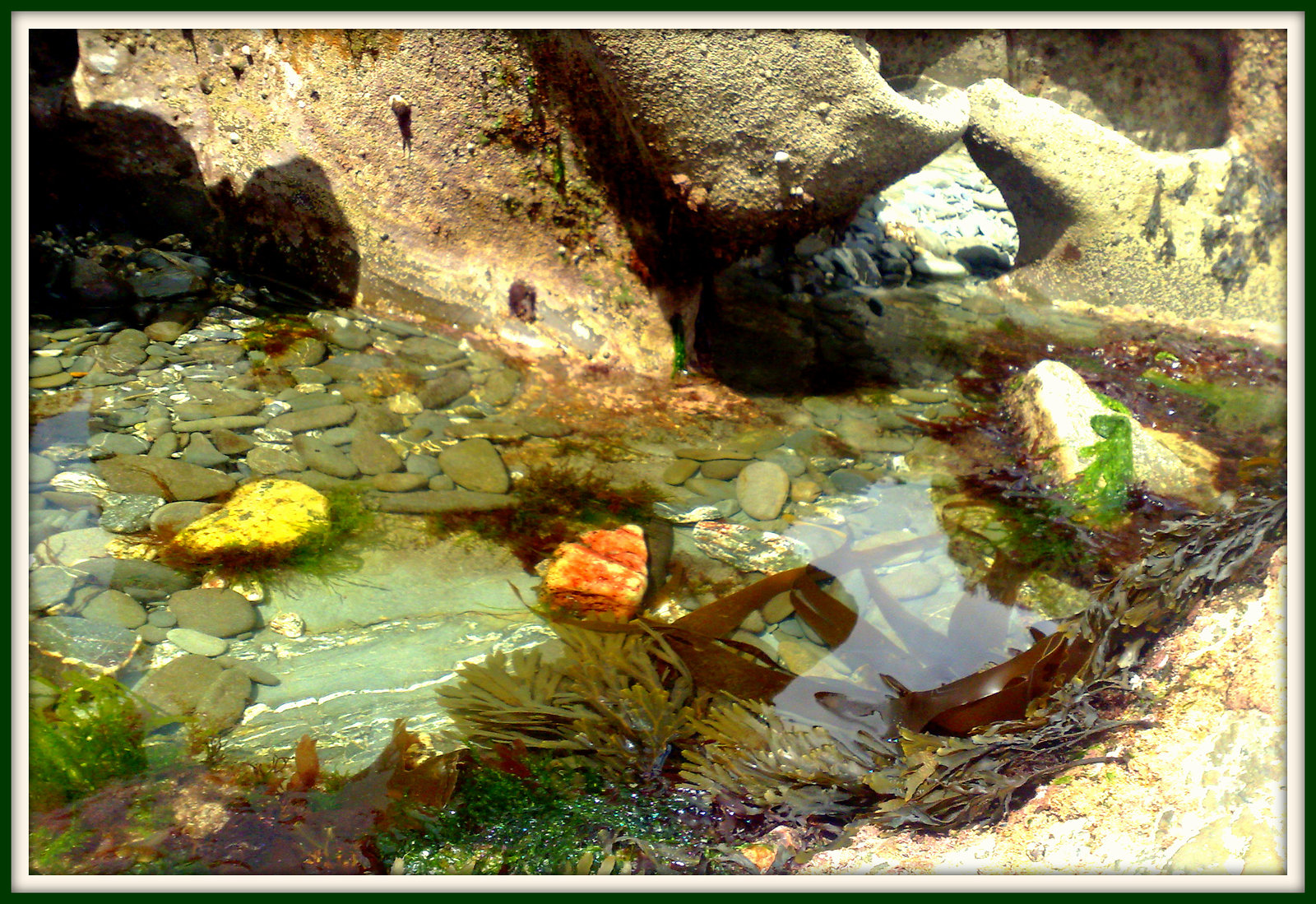 Rockpool, for Pam.