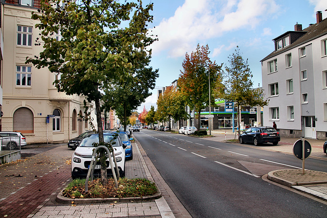 Hörder Phoenixseeallee (Dortmund-Hörde) / 21.10.2023