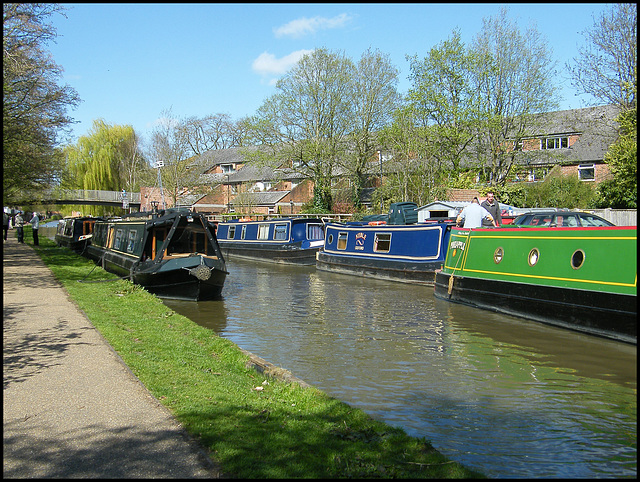 sunny canalside